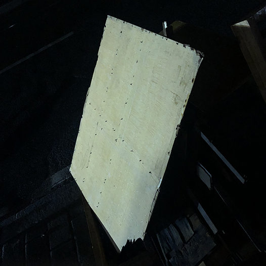 Ng Hon Lam Photography