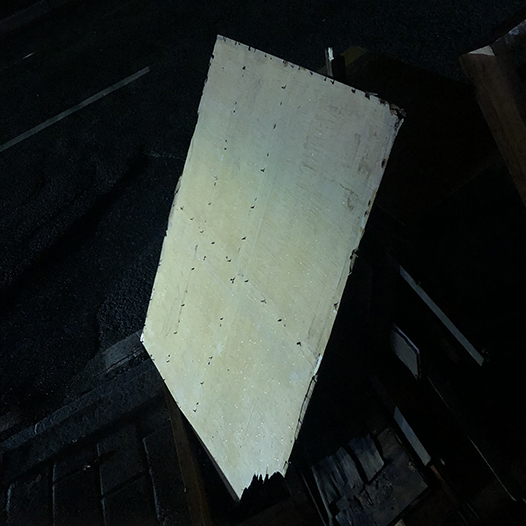 Ng Hon Lam Photography