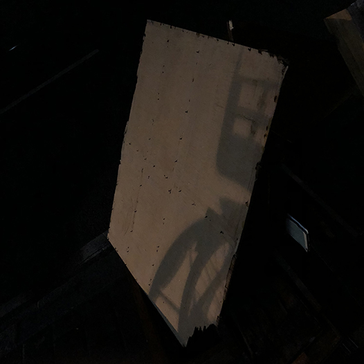 Ng Hon Lam Photography