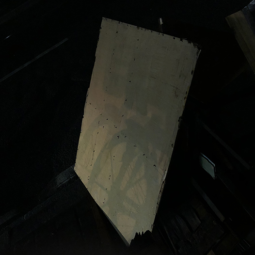 Ng Hon Lam Photography