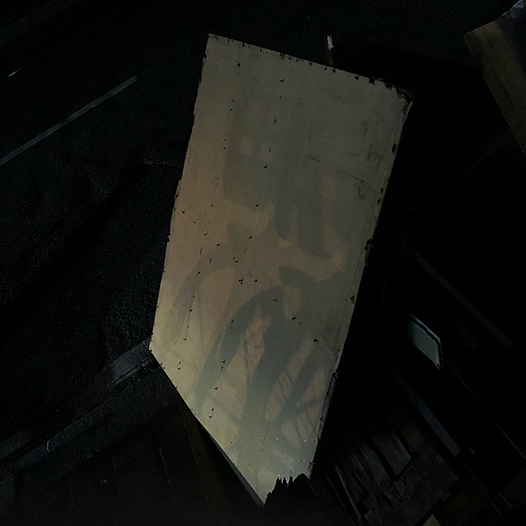 Ng Hon Lam Photography