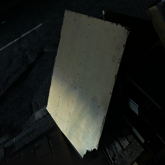 Ng Hon Lam Photography