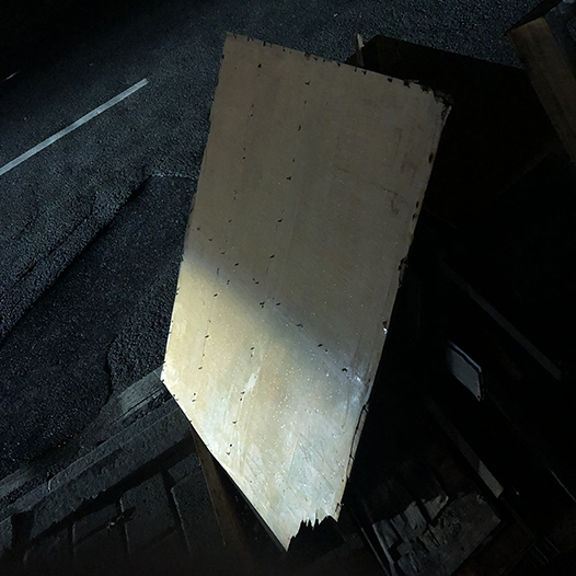 Ng Hon Lam Photography