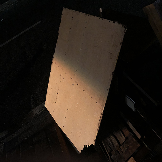 Ng Hon Lam Photography