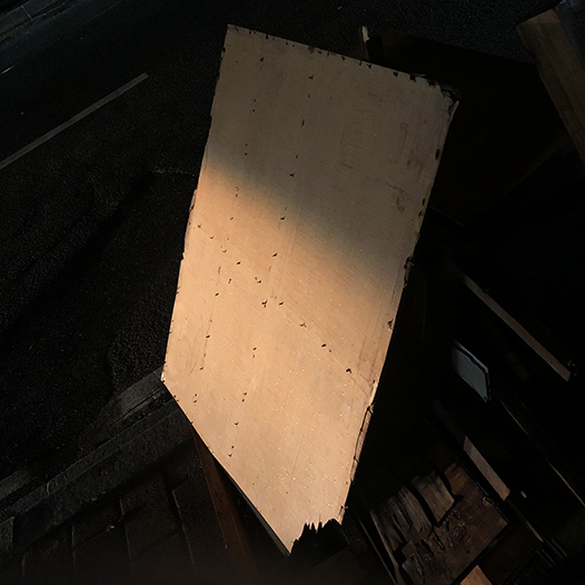 Ng Hon Lam Photography