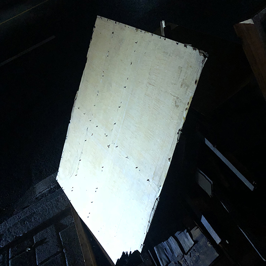 Ng Hon Lam Photography