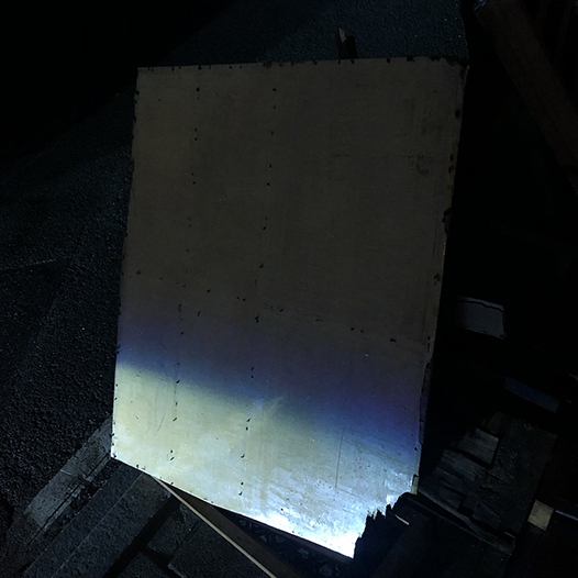 Ng Hon Lam Photography