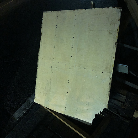 Ng Hon Lam Photography