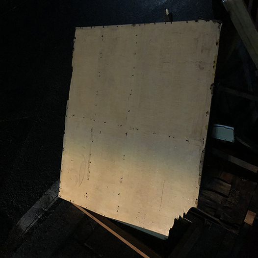 Ng Hon Lam Photography