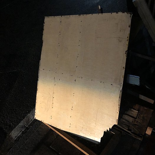 Ng Hon Lam Photography