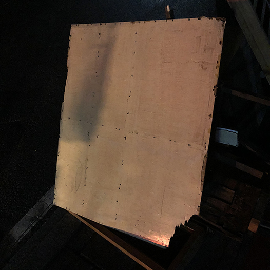 Ng Hon Lam Photography