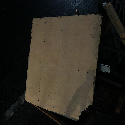 Ng Hon Lam Photography