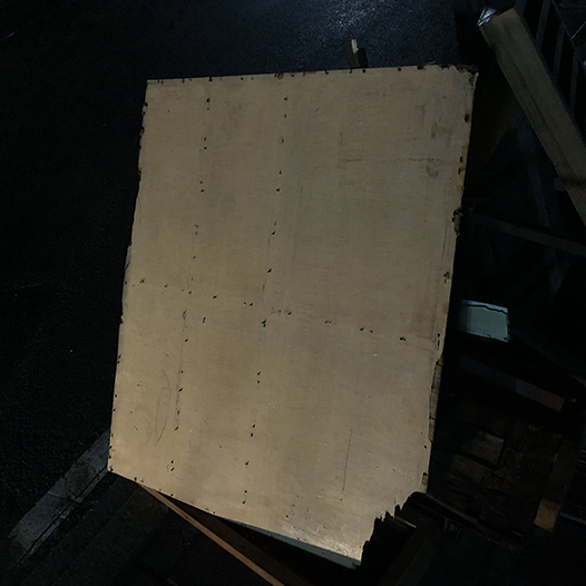 Ng Hon Lam Photography