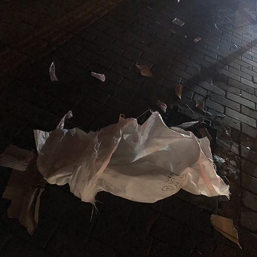 Ng Hon Lam Photography