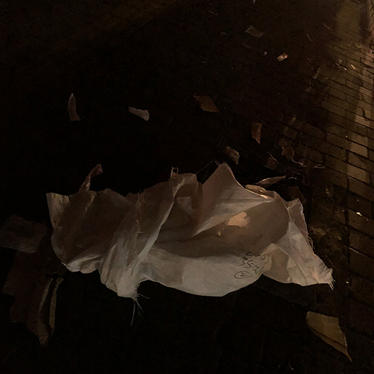 Ng Hon Lam Photography