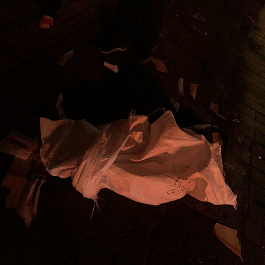 Ng Hon Lam Photography