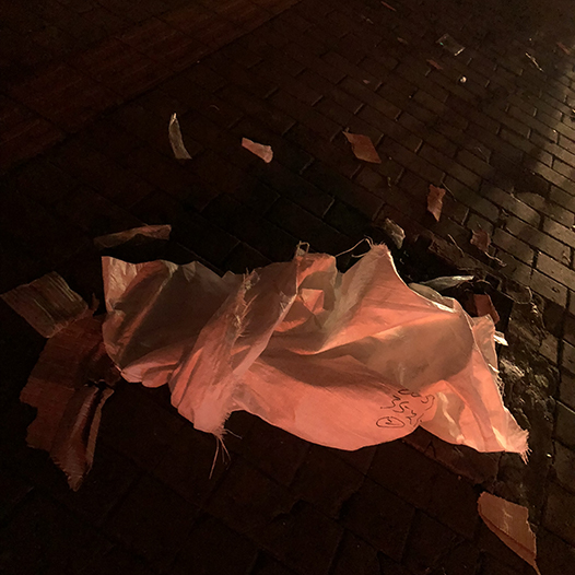 Ng Hon Lam Photography