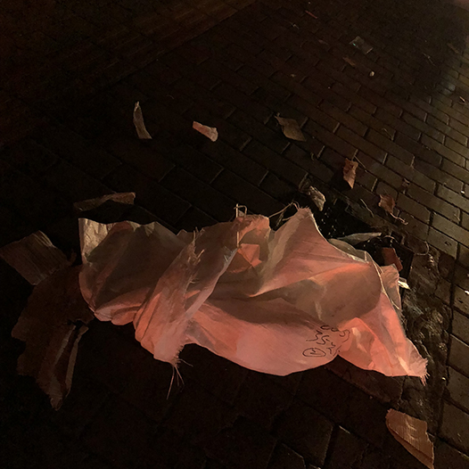 Ng Hon Lam Photography