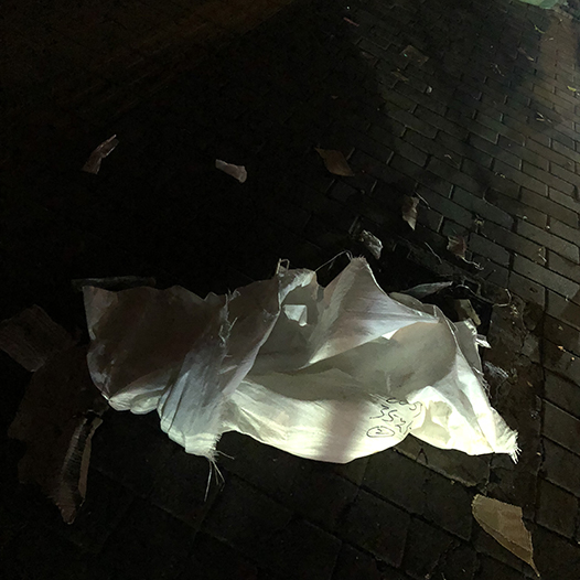 Ng Hon Lam Photography