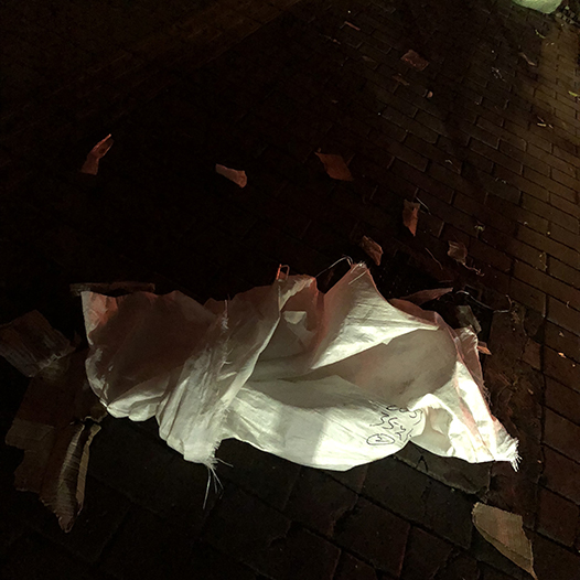 Ng Hon Lam Photography