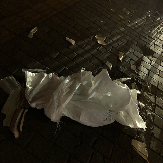 Ng Hon Lam Photography