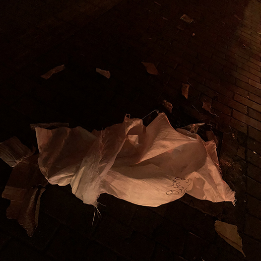 Ng Hon Lam Photography