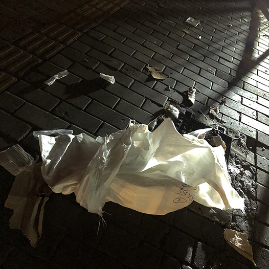 Ng Hon Lam Photography