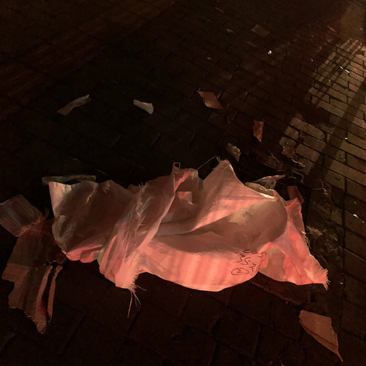 Ng Hon Lam Photography