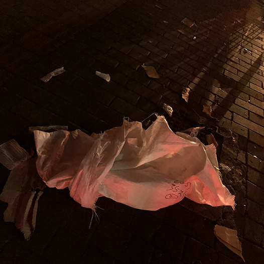 Ng Hon Lam Photography