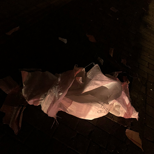 Ng Hon Lam Photography