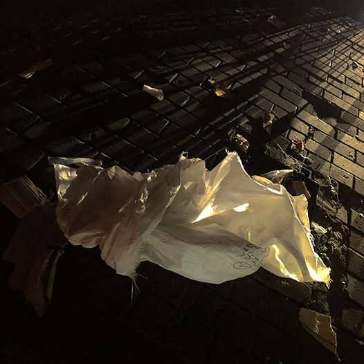 Ng Hon Lam Photography