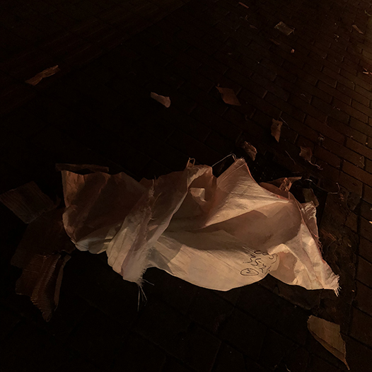 Ng Hon Lam Photography