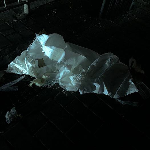 Ng Hon Lam Photography