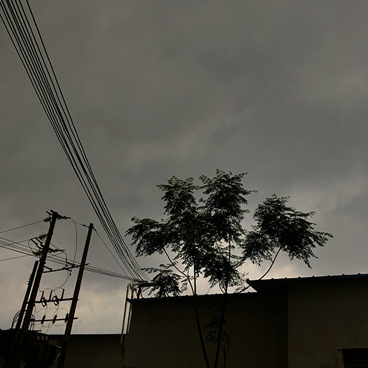 Ng Hon Lam Photography