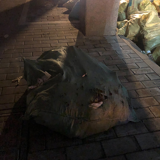 Ng Hon Lam Photography