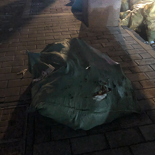 Ng Hon Lam Photography