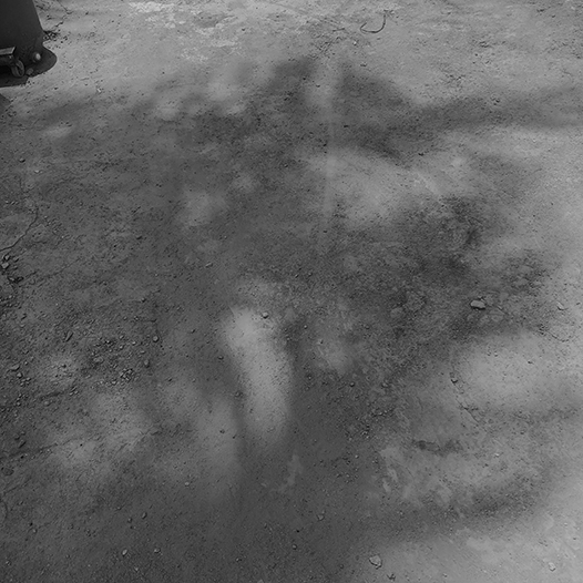 Ng Hon Lam Photography