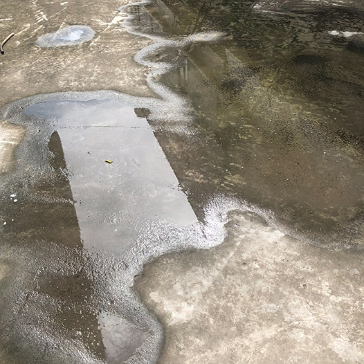 Ng Hon Lam Photography