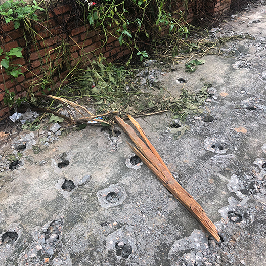 Ng Hon Lam Photography