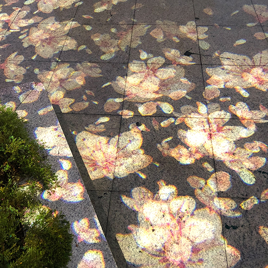 Ng Hon Lam Photography