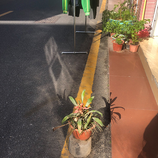 Ng Hon Lam Photography