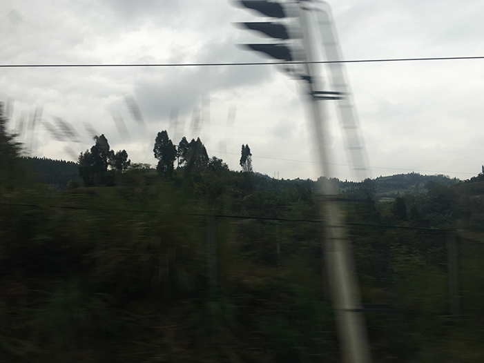 Ng Hon Lam Photography