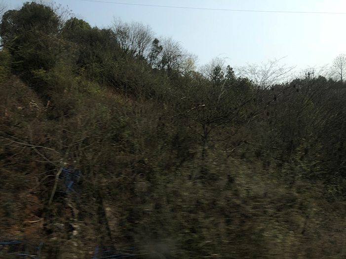 Ng Hon Lam Photography