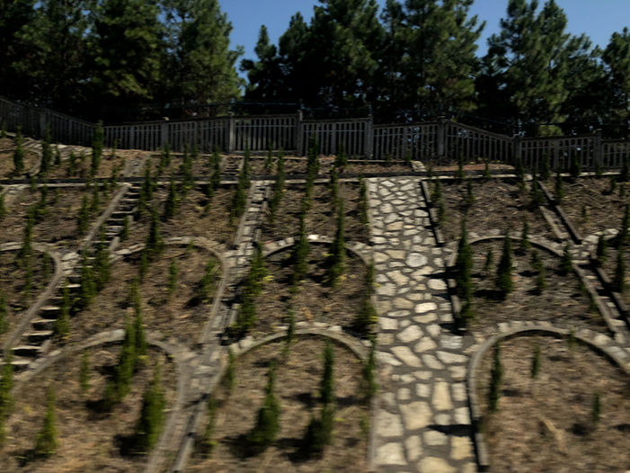 Ng Hon Lam Photography