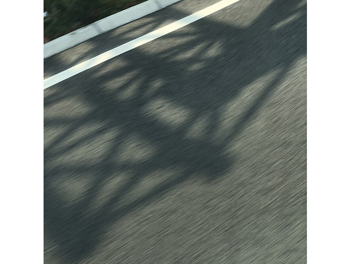 Ng Hon Lam Photography