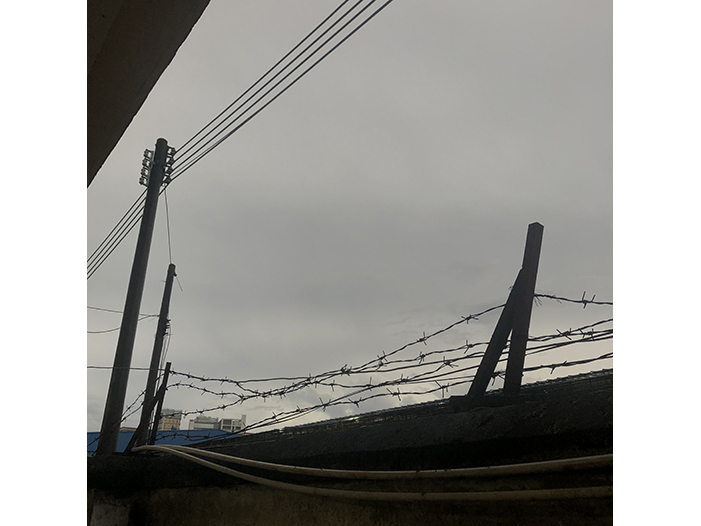 Ng Hon Lam Photography