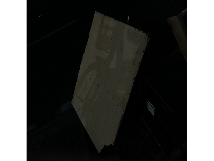 Ng Hon Lam Photography