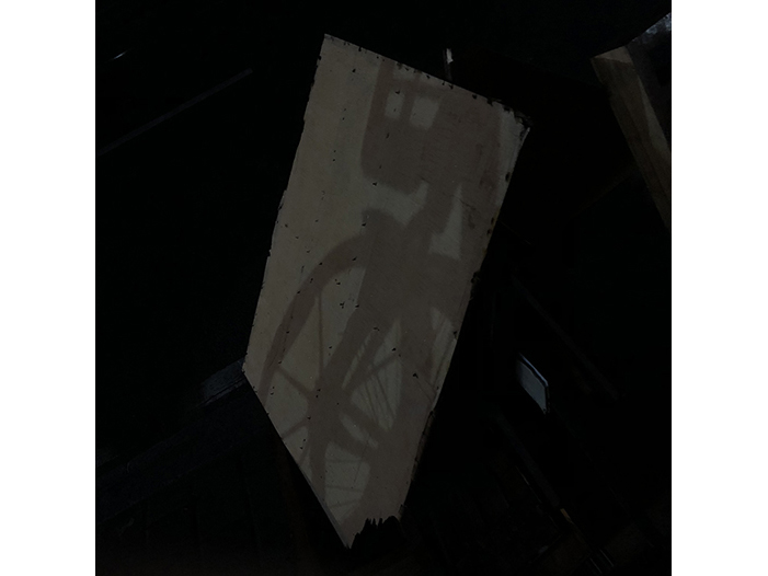 Ng Hon Lam Photography