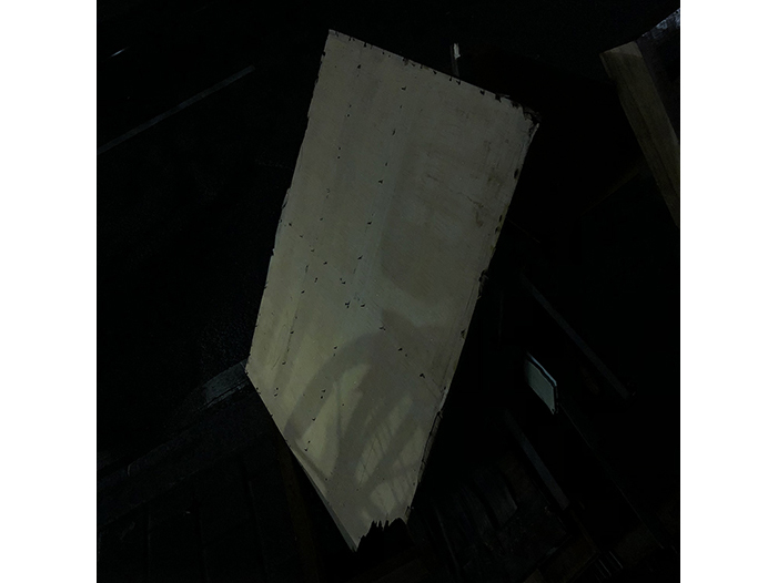 Ng Hon Lam Photography