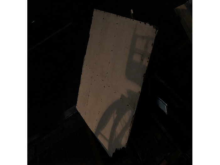 Ng Hon Lam Photography